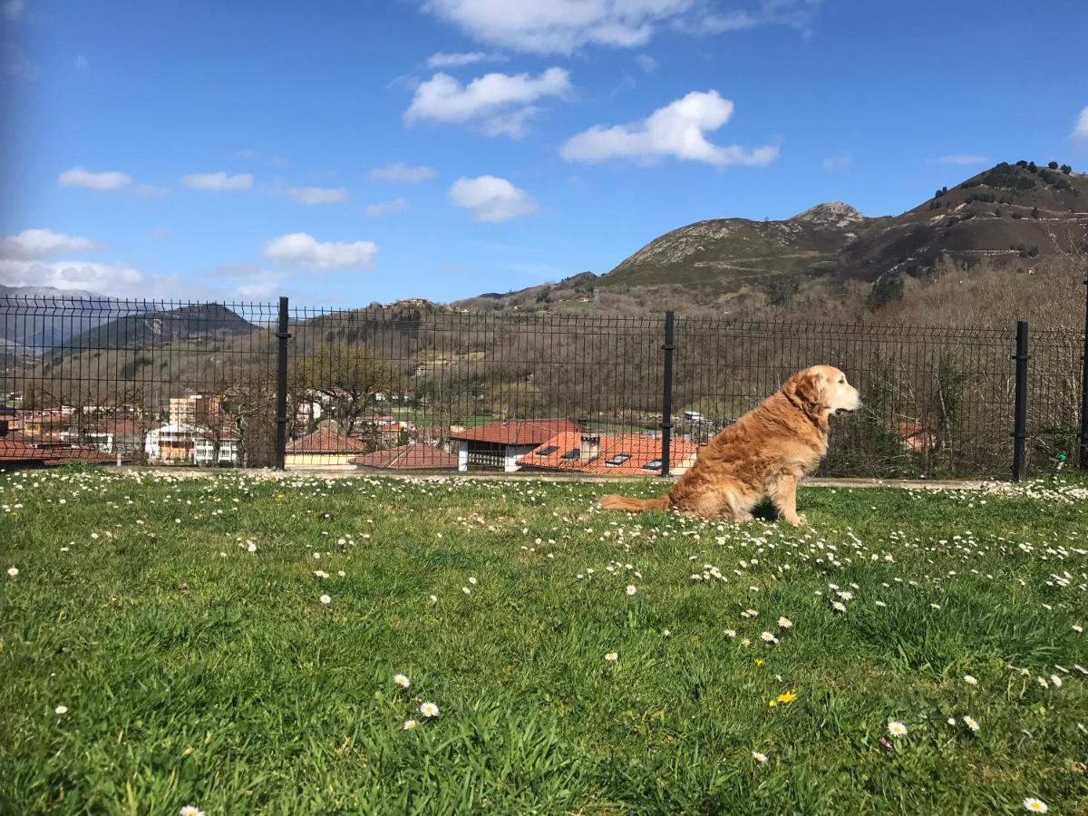 Apartamento Cangas Relax Onís Dış mekan fotoğraf